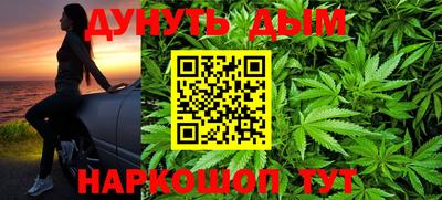 наркотики Новозыбков