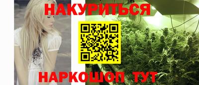 наркотики Новозыбков