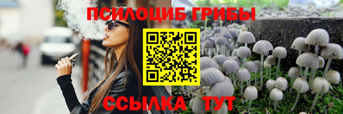 Галлюциногенные грибы MAGIC MUSHROOMS  Вход с VPN  Галлюциногенные грибы Psilocybine cubensis  Дальнегорск 